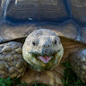 Meet your Posher, Jeremy